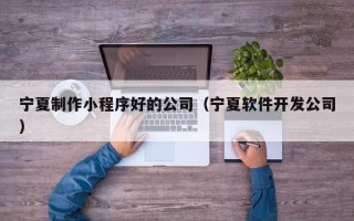 苍南宁夏制作小程序好的公司（宁夏软件开发公司）